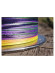 Шнур Nautilus Braid X4 Multicolour d-0.12 6.8кг 1.0PE 135м Шнур Nautilus Braid X4 Multicolour d-0.12 6.8кг 1.0PE 135м