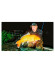 Удилище фидерное Nautilus Butler Feeder - FD 240см 150гр BTF-8HHQ