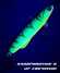 BAT SHIRITEN BATON 70 16ГР (SILICON) ЦВЕТ 918 BAT SHIRITEN BATON 70 16ГР (SILICON) ЦВЕТ 918